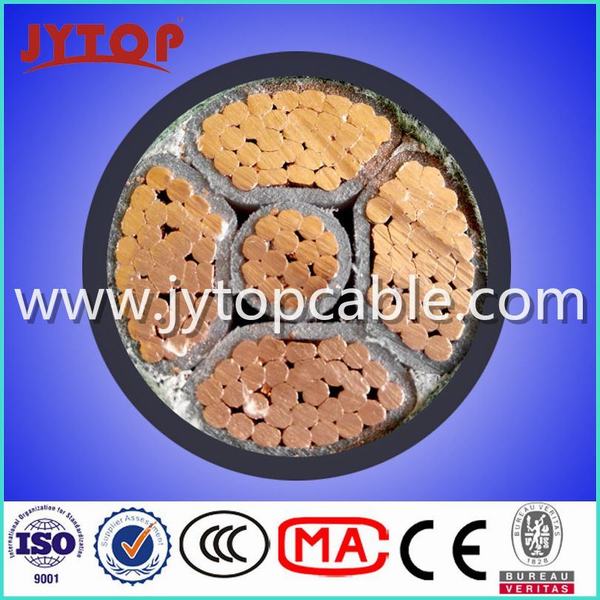 Chine 
                                 Kv 0.6/1U1000 R2V Cable RO2V Cable                              fabrication et fournisseur