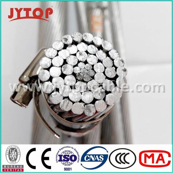 China 
                        170mm2 Factory Price Aluminum Conductor Aluminum Alloy Conductor Reinforced Acar
                      manufacture and supplier