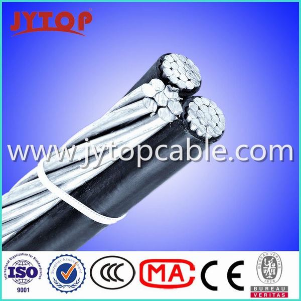 China 
                        1kv Aerial Bundle Cable Triplex Cable Gammarus, Oyster
                      manufacture and supplier
