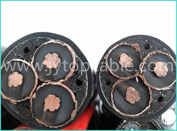 China 
                        1kv XLPE Cable with 3 Cores
                      manufacture and supplier