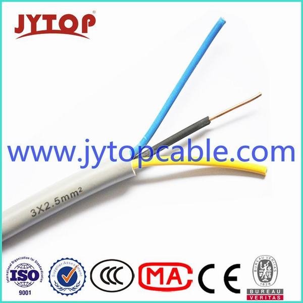 China 
                                 300/500V alambre recubierto de PVC 3X2.5mm2                              fabricante y proveedor