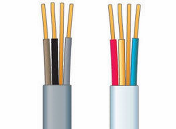 Chine 
                                 Lits jumeaux de 6 mm et la masse du câble électrique pour l'isolant en PVC le fil de bâtiment                              fabrication et fournisseur