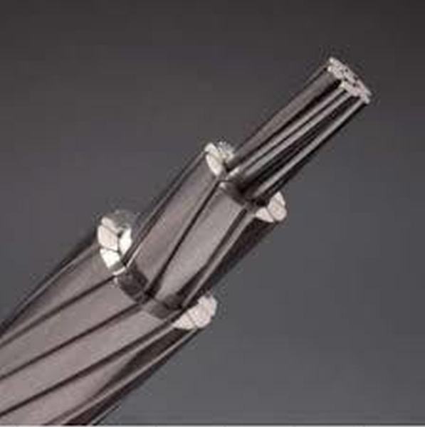 China 
                                 ACSR/Tw entblössen Aluminiumleiter, den verstärkten Stahl. Trapezoide geformte Aluminiumstränge                              Herstellung und Lieferant