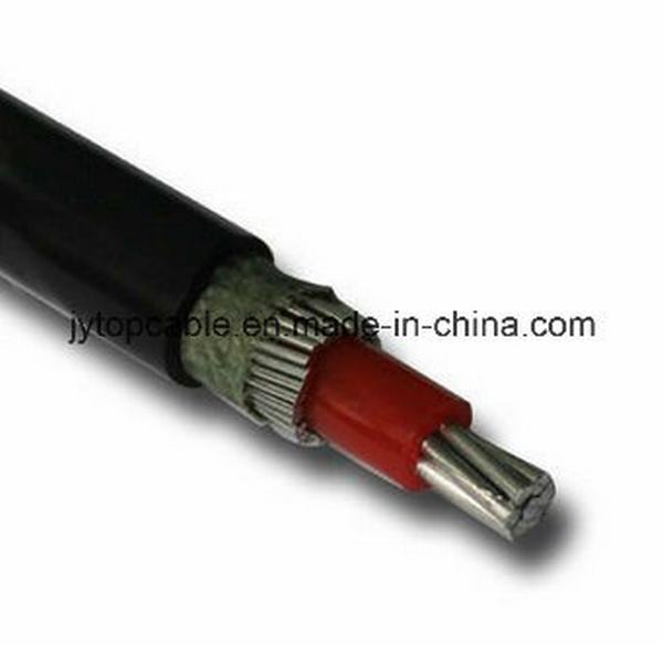 Chine 
                                 L'aluminium câble concentriques 2*6 AWG                              fabrication et fournisseur