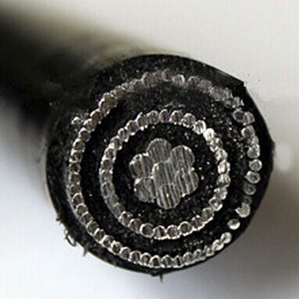 China 
                        Aluminum/Copper ASTM B801 Concentric Cables
                      manufacture and supplier