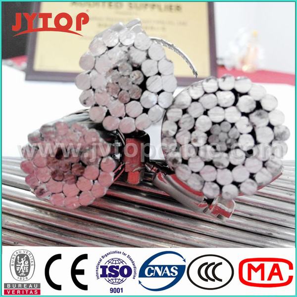 Китай 
                                 Оголенные провода из алюминия ACSR собак для верхней коробки передач                              производитель и поставщик
