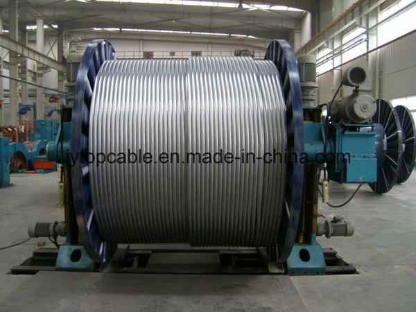 Cina 
                                 Il conduttore nudo ha galvanizzato il collegare di soggiorno del cavo di ancoraggio del filo di acciaio a Bs183                              produzione e fornitore