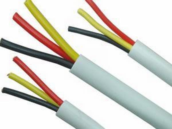 China 
                        Cable 2.5 Copper PVC Insulated Cable (BV2.5) Electric Rvv Cables (3*1.5 3*2.5)
                      manufacture and supplier
