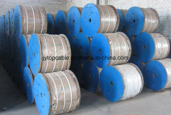 China 
                                 O fio de aço galvanizado de classe C Fabricante profissional                              fabricação e fornecedor