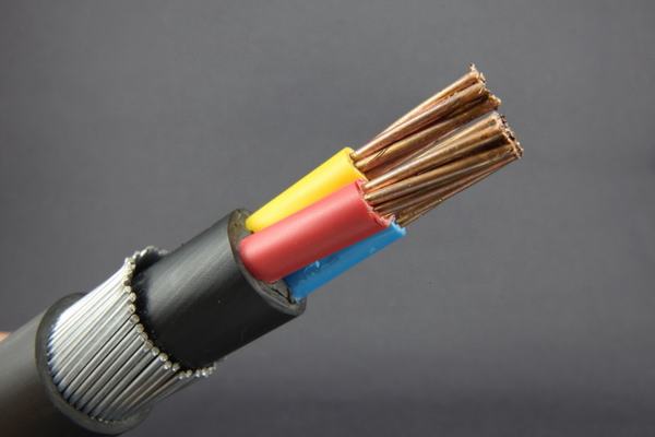 China 
                        Copper Electrical Wires and Cables Company
                      manufacture and supplier