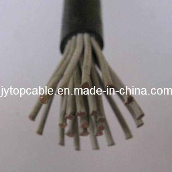 China 
                        Electric Control Cable with Multi-Cores
                      manufacture and supplier