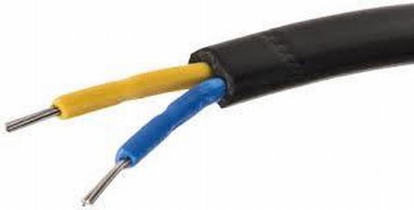 Китай 
                                 H05VV-F 3G1.5mm2 питания медных кабелей Core ПВХ изоляцией провода VDE стандарт                              производитель и поставщик