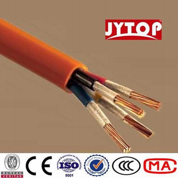 China 
                                 Heat-Resistant cable eléctrico y el cable Firewire                              fabricante y proveedor