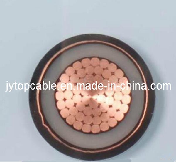 China 
                        High Voltage 18/30kv Copper Conductor XLPE Insulated Power Cable
                      manufacture and supplier
