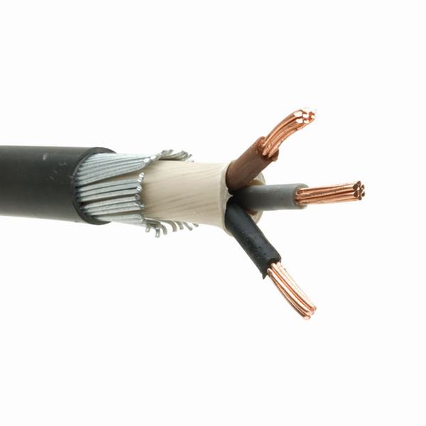 China 
                                 De 3 Núcleos de baja tensión XLPE de cobre/aislamiento de PVC Cable reforzado con alambre de acero                              fabricante y proveedor