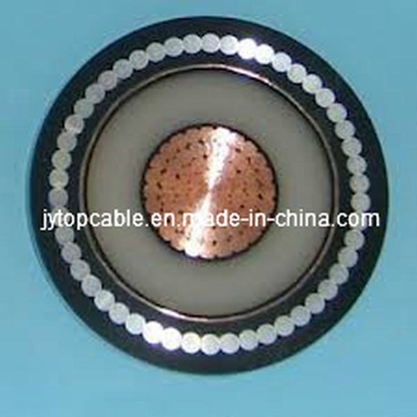China 
                        Mv XLPE Insulated Power Cable Armoured with Aluminum Wire
                      manufacture and supplier