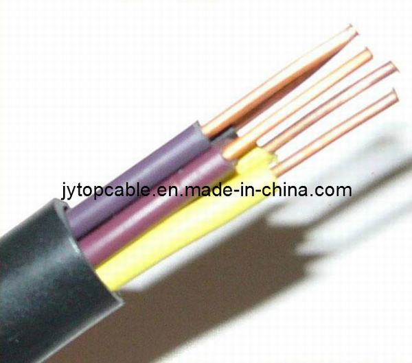Chine 
                                 Isolation en PVC Câble de commande pour 4mm2                              fabrication et fournisseur