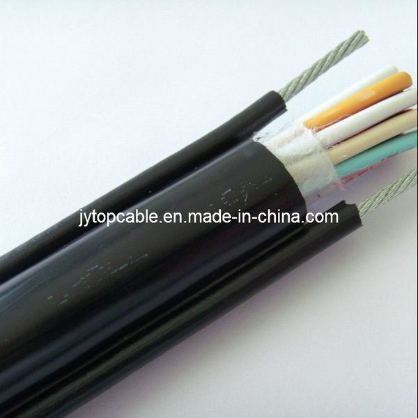China 
                        PVC Insulated and Sheathed Control Cable for Low Voltage
                      manufacture and supplier