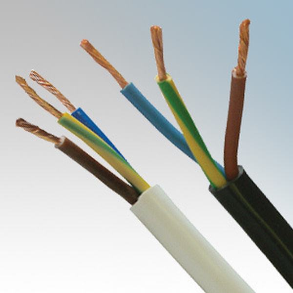 China 
                        Rvv Type 300/300V Circular Light Flexible Cable with PVC Sheathed
                      manufacture and supplier