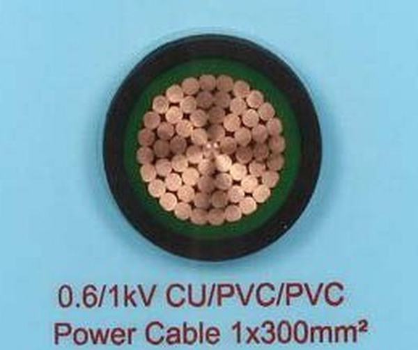 China 
                        Single Core Steel Wire Armoured Cable Swa Cables and Sta Cables
                      manufacture and supplier