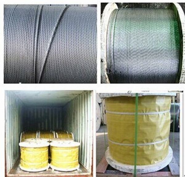 China 
                                 Estancia en el cable/Guy cable/ Alambre trenzado de acero galvanizado                              fabricante y proveedor