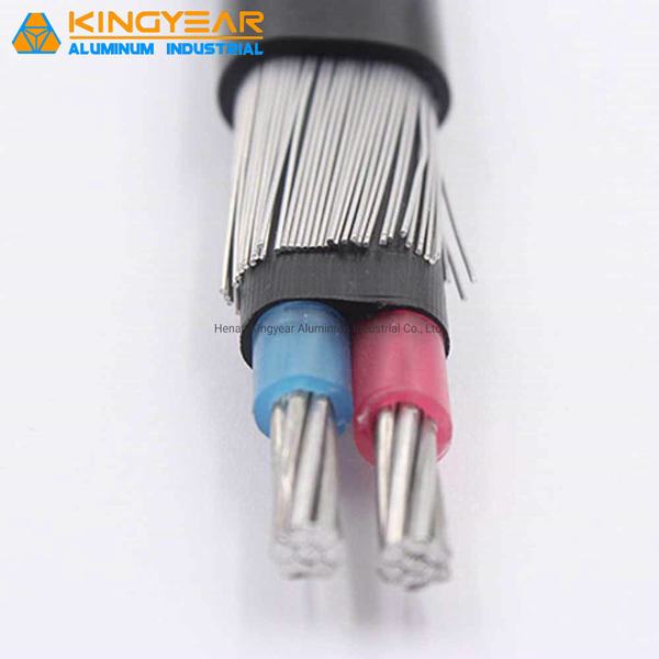 0.6/1kv 8000 Series Aluminum Alloy XLPE Insulation Concentric Cable 2*8AWG 3*6AWG