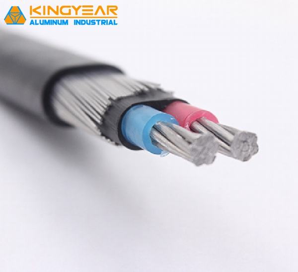 China 
                        0.6/1kv Aluminum Conductor XLPE Insulated 2X8 AWG Concentric Cable
                      manufacture and supplier