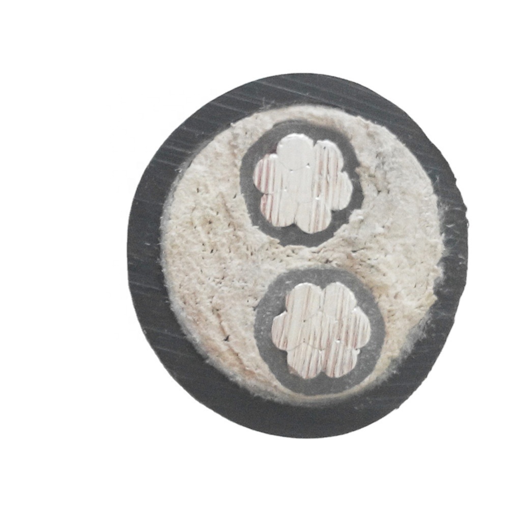 China 
                        2X70mm2 Electric Power Cable Electric Price List of 2 Core Power Cable
                      manufacture and supplier