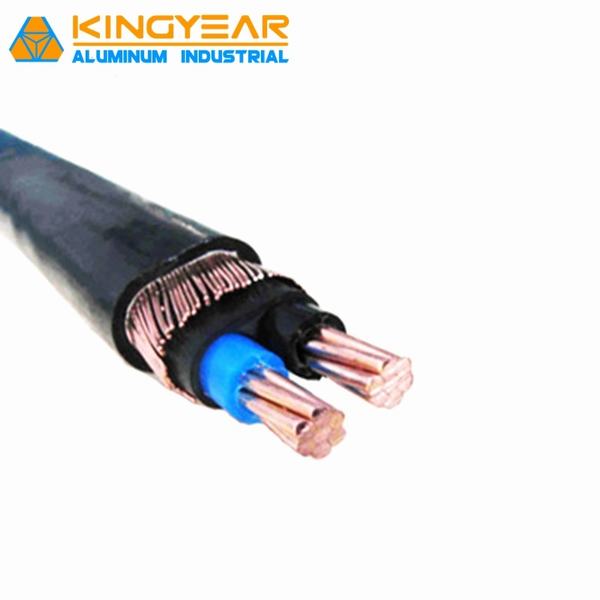 China 
                        8000 Series Aluminum Conductor XLPE Insulated Lighting Concentric Cable
                      manufacture and supplier