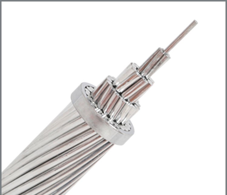China 
                Cable desnudo AAAC Conductor de aleación de aluminio todos los gastos generales
              fabricante y proveedor