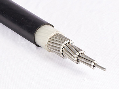 
                Алюминиевый проводник концентрические кабель XLPE/PVC 2X6AWG
            