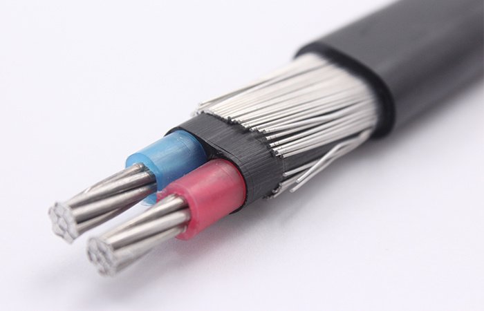 Aluminum Conductor XLPE Insulated 2AWG Concentric Cable Manufacturer
