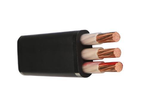 
                Cvf Underwater Cable 4sq 3c Sv CV Wire 16sq 3c M Unit Electrical Cable for Wiring 12436
            