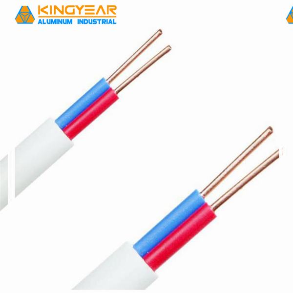 China 
                        Heavy Duty Kuwait 2.5mm Duplex Rvv2 1.0 Uganda Myanmar Electric Wire HiFi Power Cable
                      manufacture and supplier