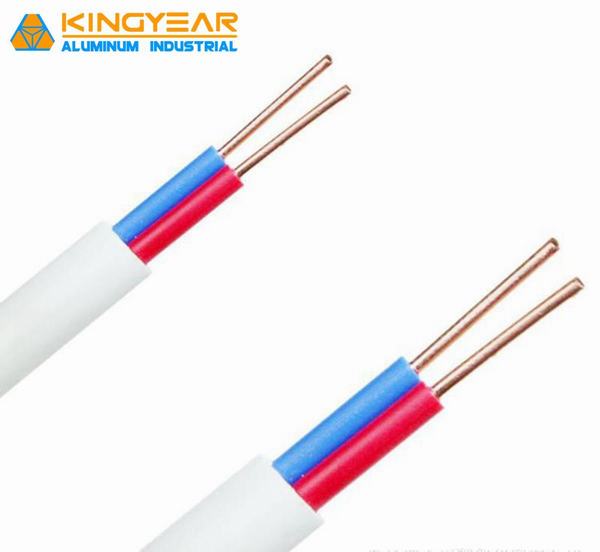 China 
                        Rvv 2*1.0mm2 Electrical Cable Wire PVC Insulated Flexible Electric Wire Cooper Cable
                      manufacture and supplier
