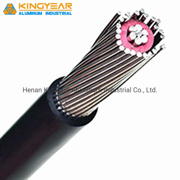 
                                 Un núcleo de cobre o aluminio PVC PVC aislante XLPE PE PE concéntricos funda de cable de 2*8AWG                            