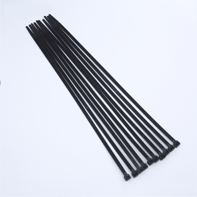 
                Schwarzer Kabelbinder aus Kunststoff mit Bandschloss und Zugfestigkeit Nylon
            