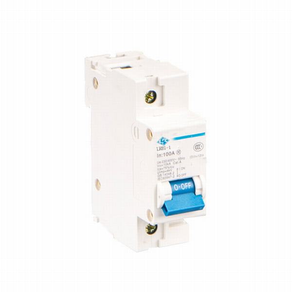 China 
                        Lrnc100h Miniature Circuit Breaker
                      manufacture and supplier