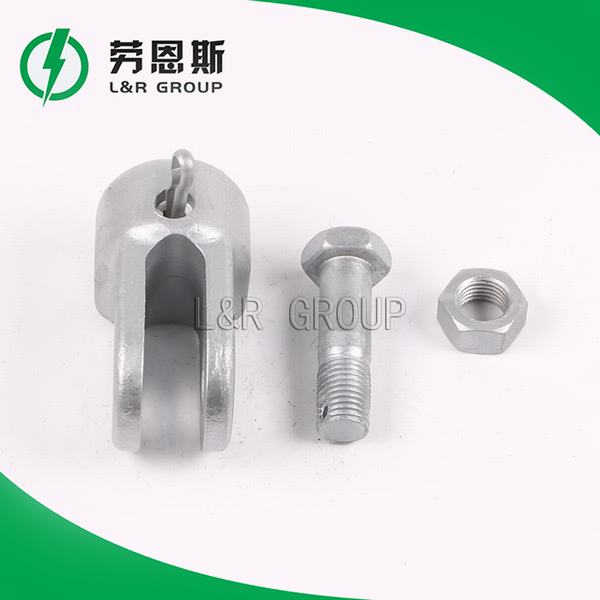 China 
                        Practical Ws- Socket- Clevis Eye
                      manufacture and supplier