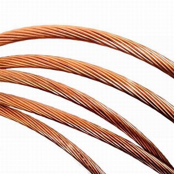 
                                 Cable de masa de acero de la servidumbre de cobre 30% de la Conductividad                            