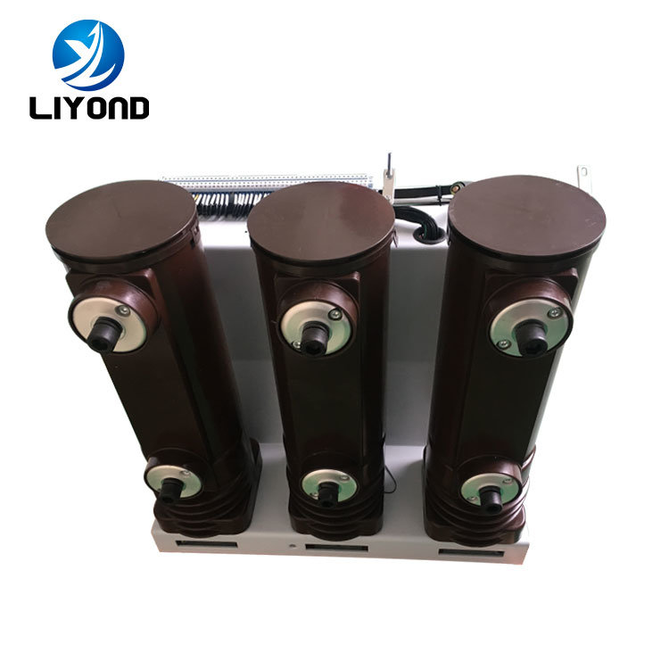 China 
                11kV 12kv fester Typ isolierter VS1 Vakuum-Leistungsschalter für Inneneinsatz Für Hochspannungsschaltschrank
              Herstellung und Lieferant
