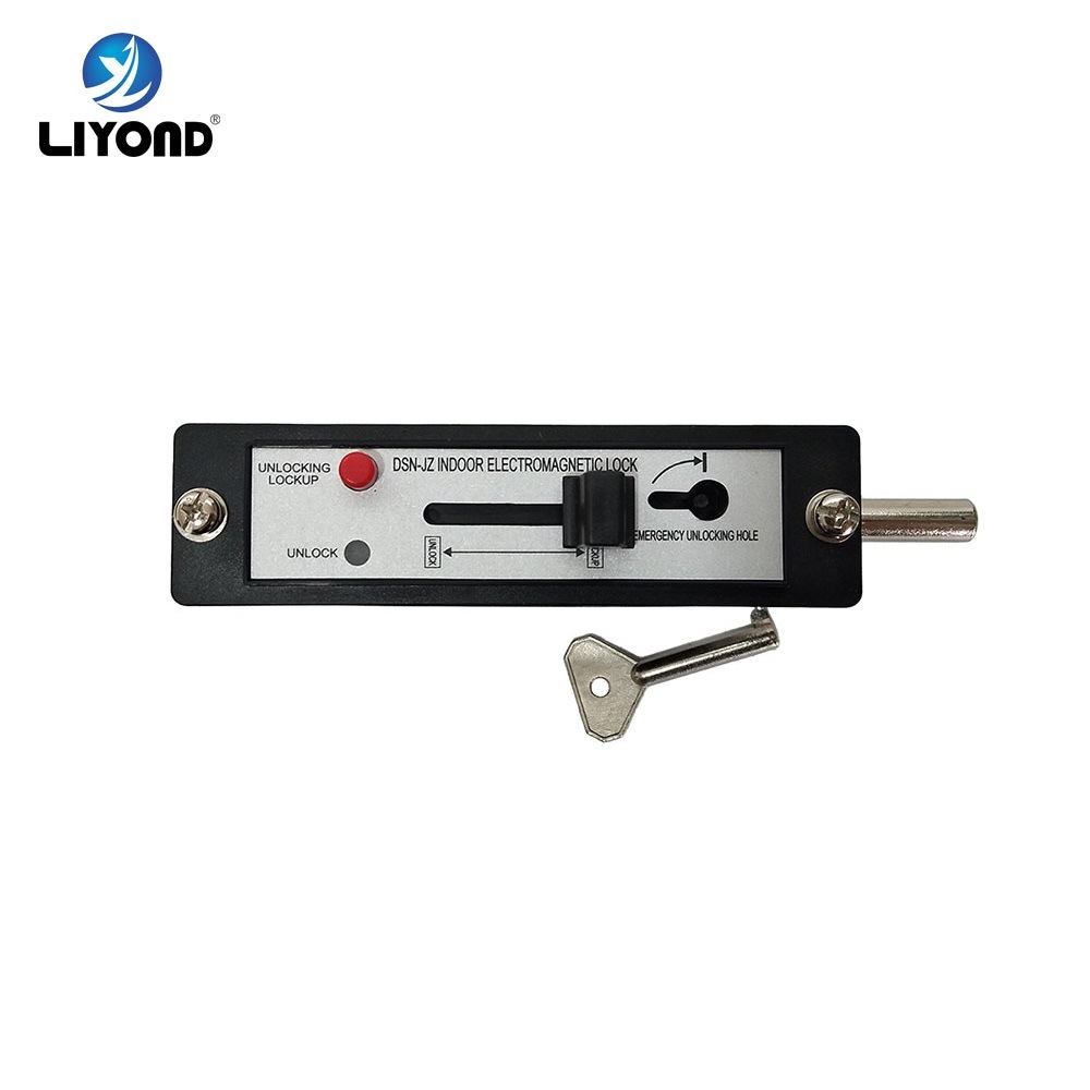 Dsn Series Electromagnetic Lock 110V 220V Cabinet Door Lock