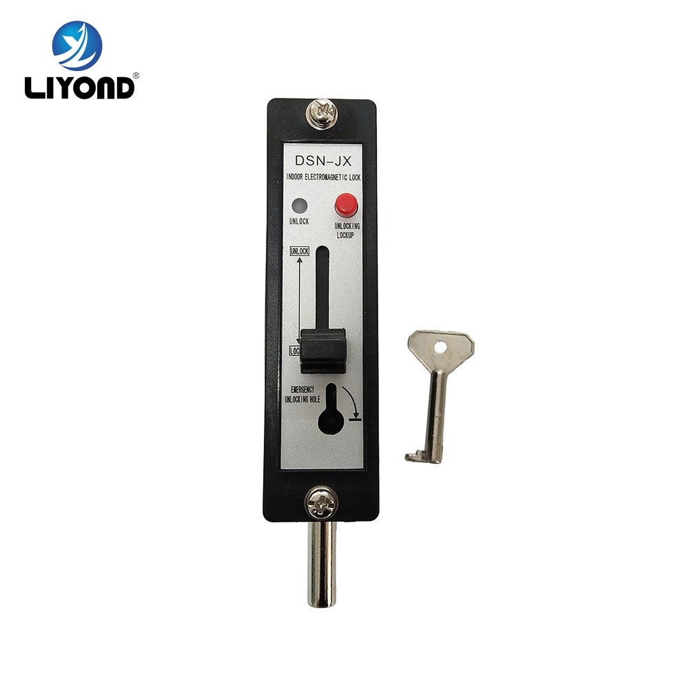 Electronic Lock Indoor High Voltage 110V 220V Electromagnetic Lock