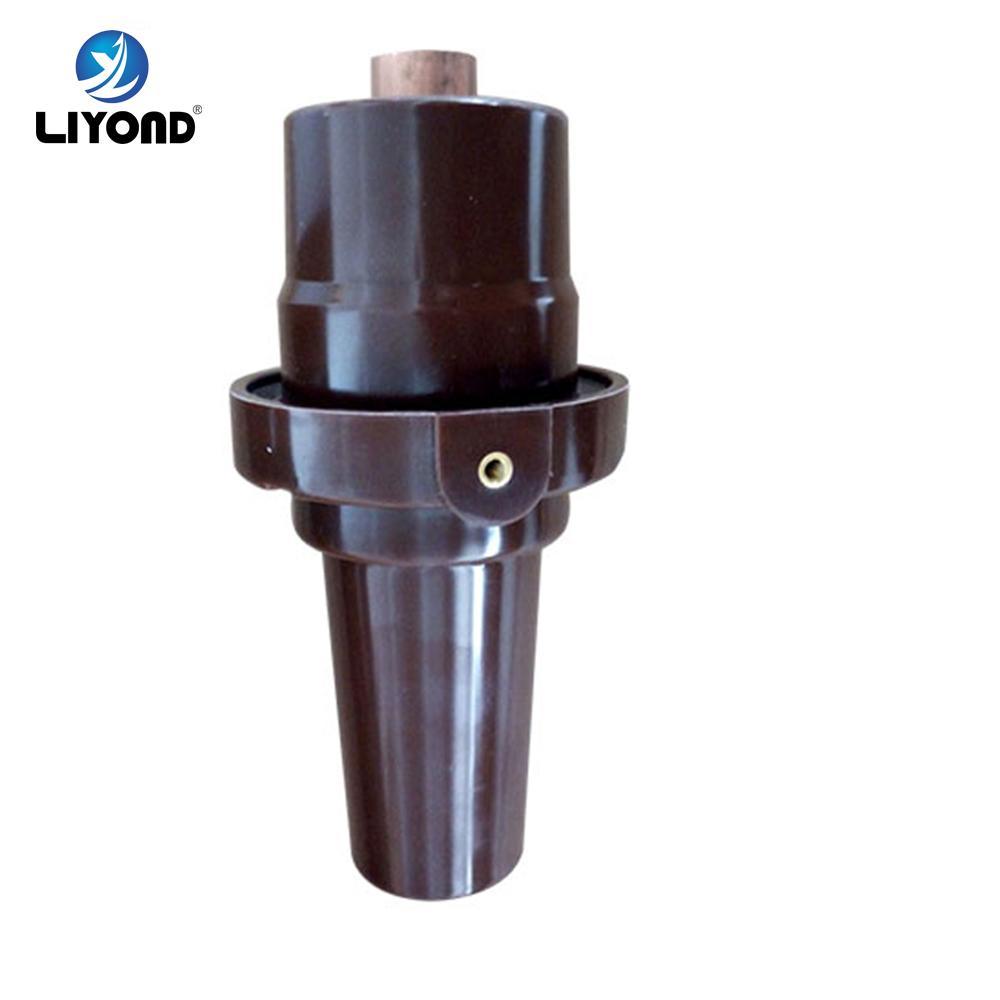 China 
                Sf6 24kv 630A Insulating Sleeve 202 Bushing for Rmu/Gis Switchgear
              manufacture and supplier