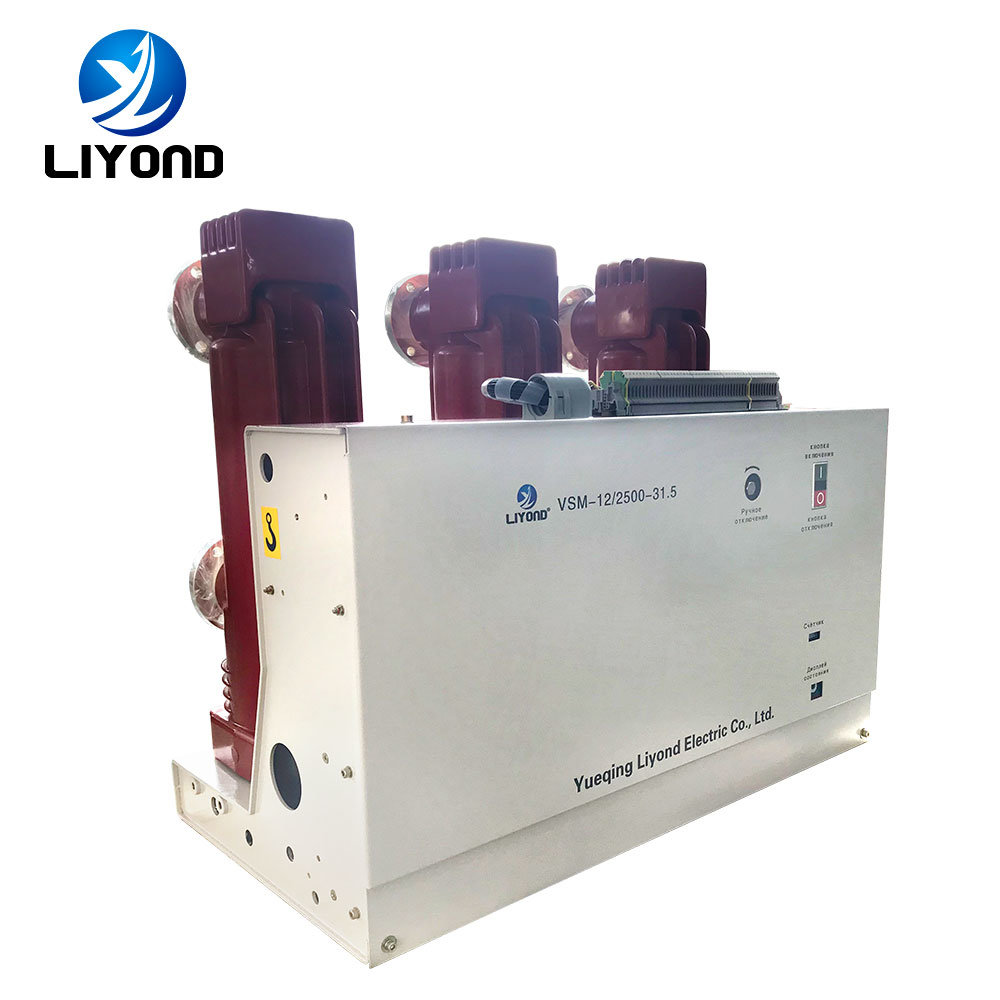 China 
                VSM-12 Indoor 12KV disyuntor magnético permanente de vacío tipo fijo Para armario MV
              fabricante y proveedor