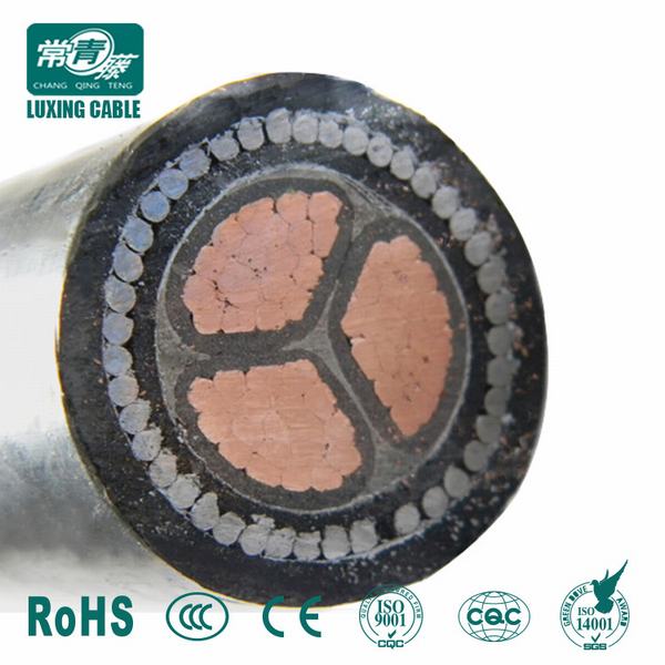 China 
                        0.6/1kv Copper Conductor XLPE Insulated Galvanized Steel Wire Outdoor Armoured Cable
                      manufacture and supplier