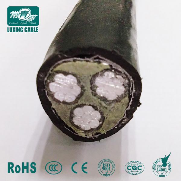 Cina 
                                 cavo di alluminio isolato PVC/XLPE elettrico ambientale del cavo di goccia di servizio del duplex del cavo di collegare 0.6/1kv                              produzione e fornitore