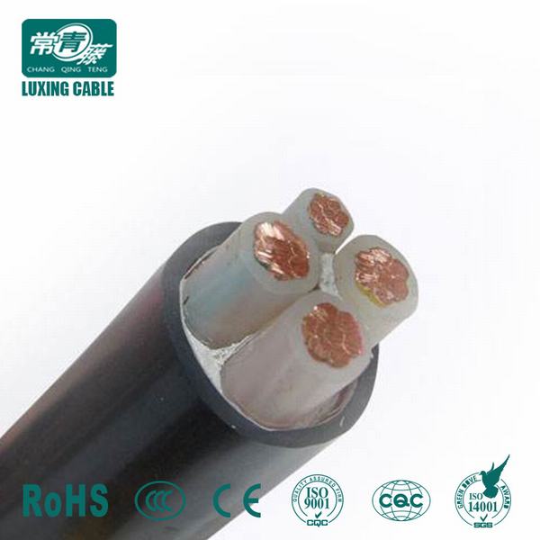 China 
                                 Isolierenergien-Kabel der Hochspannung-110kv XLPE                              Herstellung und Lieferant