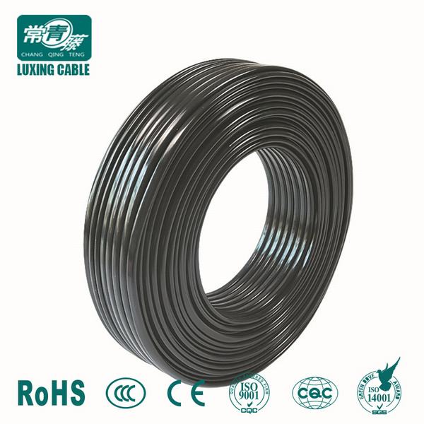 Chine 
                                 1mm, 1,5 mm, 2,5 mm, 4mm, 6 mm de section transversale nominale du conducteur isolant en PVC non gainés câbles simple coeur pour le câblage interne                              fabrication et fournisseur