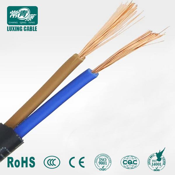 
                                 2 conducteurs câble PVC de 16 mm/16mm Câble électrique Prix/câble d'alimentation de 16mm                            